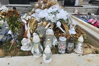 Pluszowe misie strzegą grobu Jeremiego. 3-latek zakrztusił się winogronem [GALERIA]