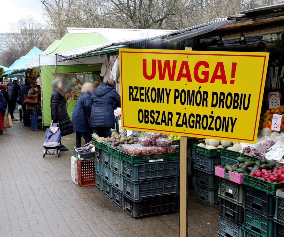 Ceny żywności w Małopolsce galopują. Drób droższy od wieprzowiny. Wszystko przez choroby zakaźne