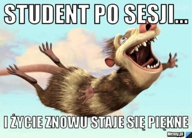Tak studenci walczą o zaliczenie! Zobacz najlepsze MEMY o sesji!