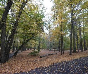 Park Lubomirskich w Białymstoku jesienią 