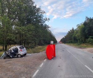 Śmiertelny wypadek na DK 12 pod Piotrkowem Tryb. Kierujący chevroletem wjechał pod tira [ZDJĘCIA]