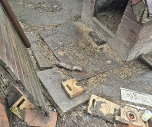 Dramat w Pruszkowie. Przetrzymywał zwierzęta w skandalicznych warunkach. Właściciel próbował się ich pozbyć