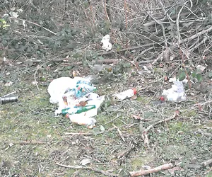 Bielsko-Biała.Trakt spacerowy przy potoku Straconka pełen śmieci. Interwencji władz miasta domagają się radni