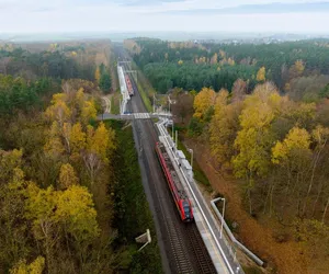 Nowe projekty kolejowe za wiele milionów. Mają usprawnić transport między miastami