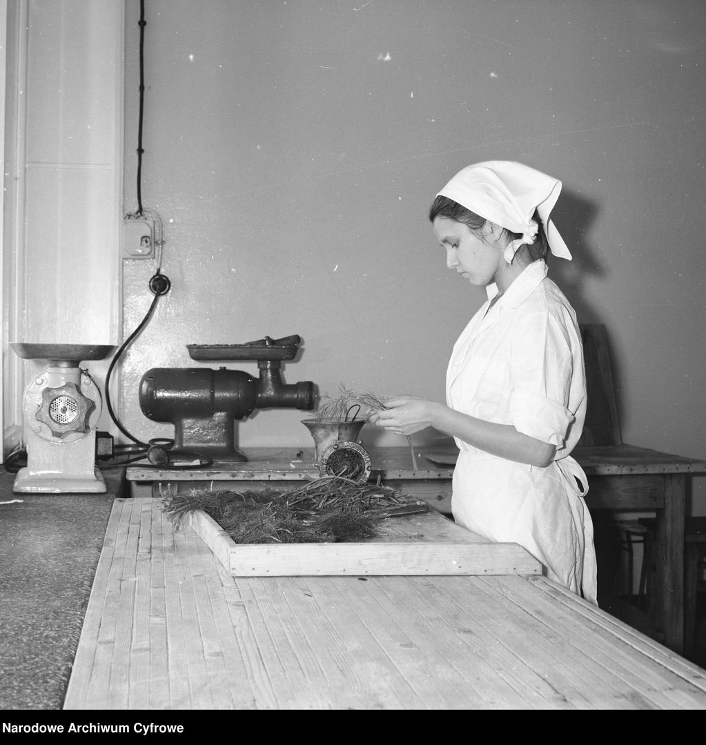 Bufet. Główny Urząd Statystyczny w Warszawie