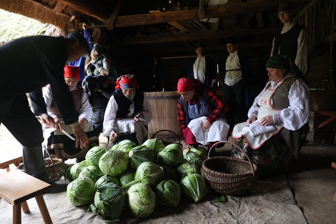 Tak ongiś siekano kapustę w woj. lubelskim. „Obieraczki kapuściane” w Muzeum Wsi Lubelskiej