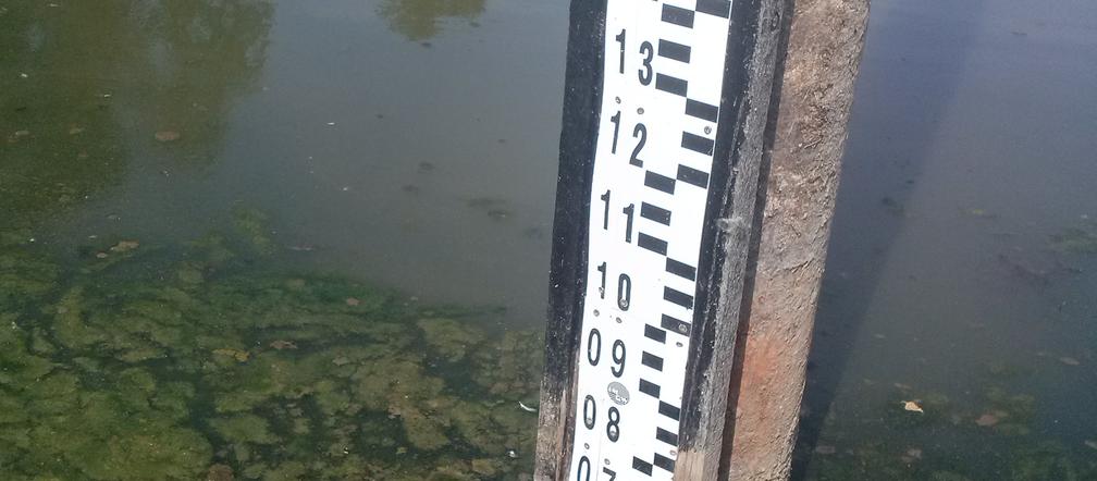 Niski stan Wisły w Warszawie