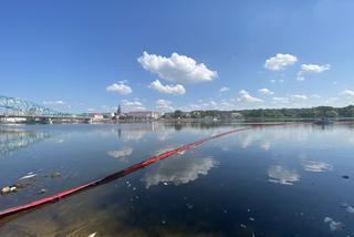 Katastrofa ekologiczna na Odrze. W Gryfinie i Żabnicy trwa stawianie zapór na rzece [ZDJĘCIA]