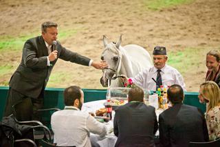 Pride of Poland 2016 w Janowie Podlaskim. 