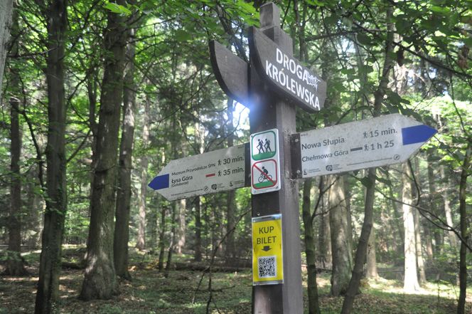 Świętokrzyski Park Narodowy
