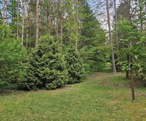 Kopna Góra