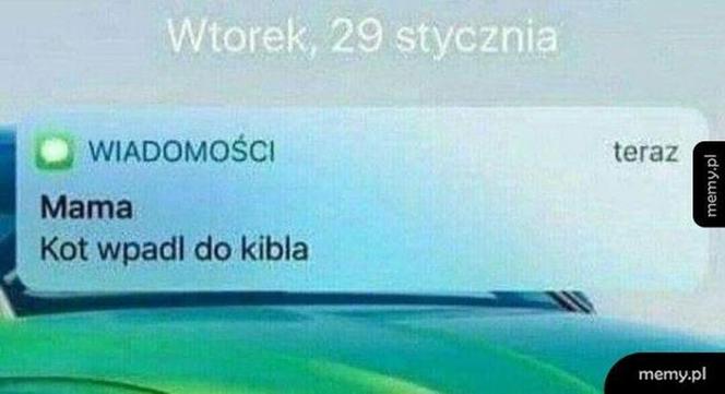  Memy na Dzień Matki 2022 [GALERIA]