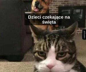  Święta Bożego Narodzenia 20‬23 Najlepsze MEMY