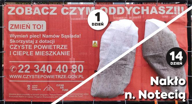 Po Polsce jeżdżą instalacje “mobilnych płuc”.