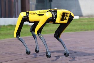 Robotyczny pies z Centrum Nauki Kopernik szuka imienia! Możecie wymyślić je wy!