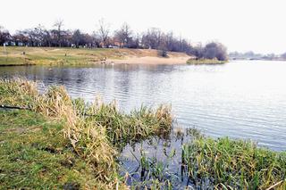 Córka poćwiartowała ciało dziennikarki TVP. Głowę włożyła do garnka, z kolan wycięła rzepki