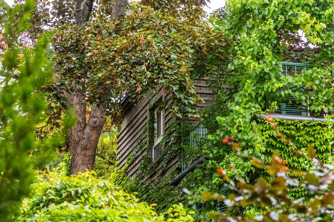 Willa Romualda Gutta na Kolonii Profesorskiej w Warszawie