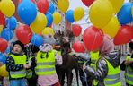 Jelonek stanął przy fontannie na ul. Długiej! Nowa atrakcja turystyczna Łomży poleca się do robienia zdjęć