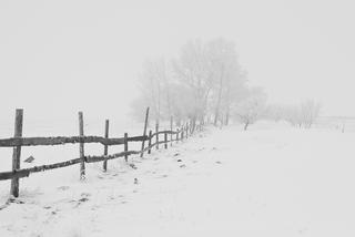 Śnieżyce i wichury w Małopolsce. Tysiące osób bez prądu