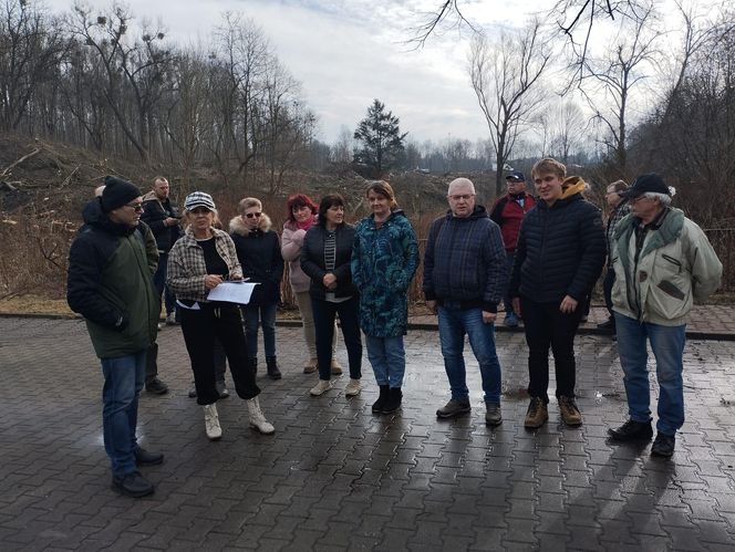 Kontrowersyjna wycinka drzew pod trasę N-Ś w Rudzie Śląskiej. Mieszkańcy: "to jest fałszerstwo na duża skalę, to skandal"