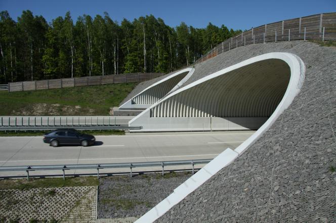 Budowa nowych dróg w Polsce - ile kosztuje kilometr drogi?