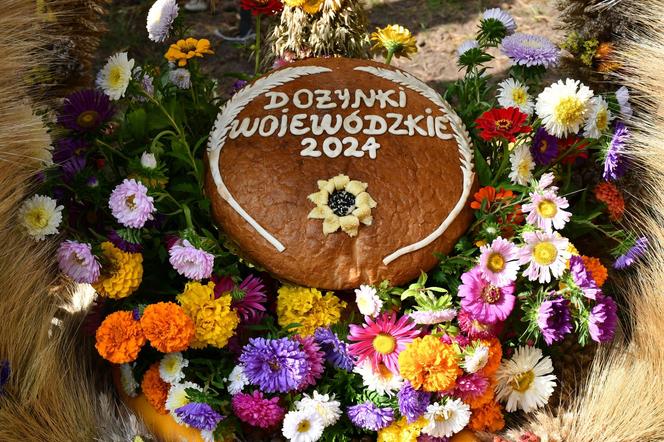 Dożynki wojewódzkie w Olsztynku 2024. Tłumy na wydarzeniu. „To był trudny rok” [ZDJĘCIA]