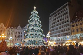 Ale blask! Choinka we Wrocławiu rozświetla cały Rynek! [ZDJĘCIA]