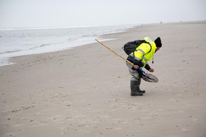 Wyrusz po złoto Bałtyku! 3