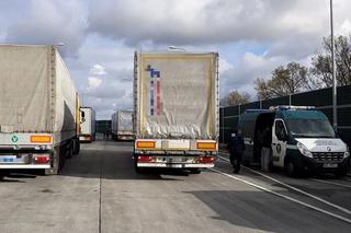 Podczas jednodniowej akcji ITD sprawdziło 242 zagraniczne ciężarówki. Wynik wzmożonych kontroli był zdumiewający