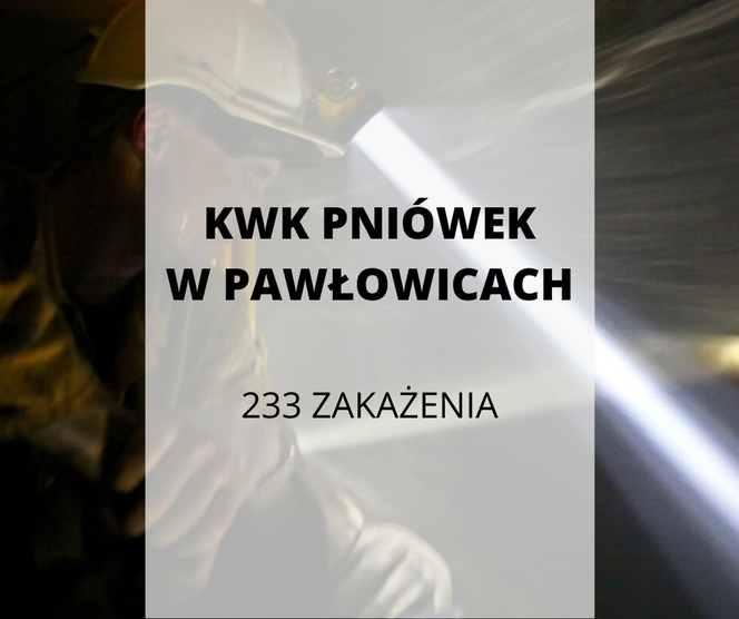 KWK Pniówek w Pawłowicach (Jastrzębska Spółka Węglowa)
