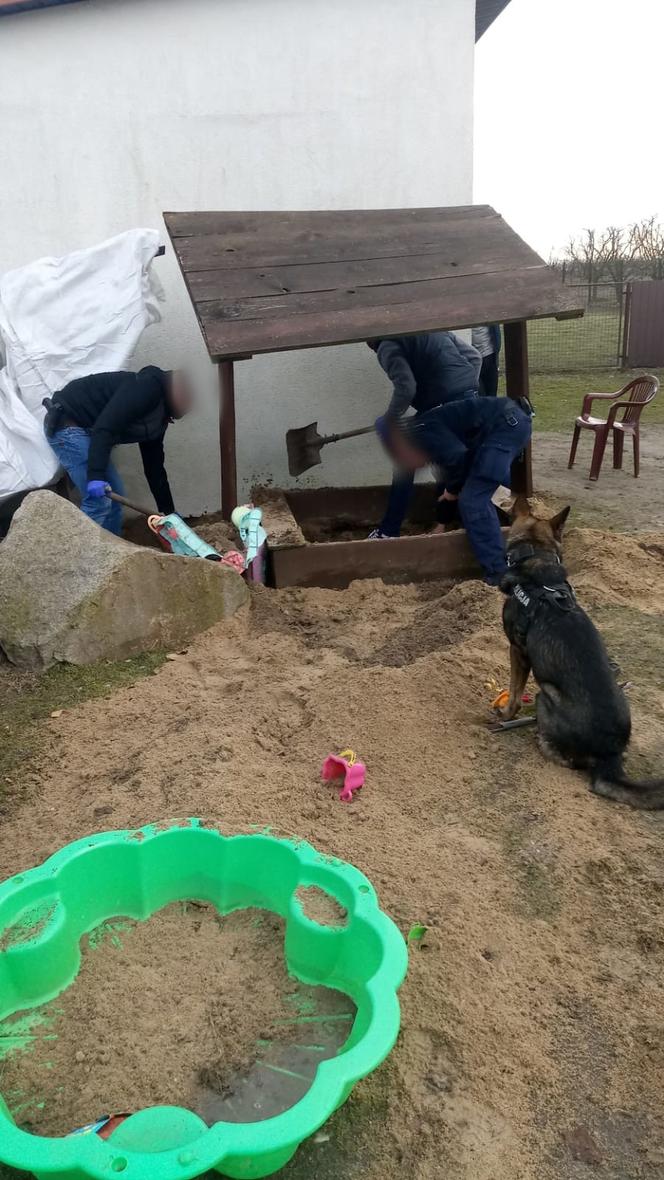 Łódzkie: zakopał NARKOTYKI W DZIECIĘCEJ PIASKOWNICY. Znalazł je pies!
