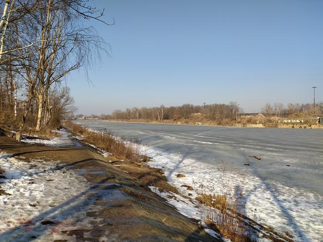 Mimo dodatnich temperatur spacerują po lodzie. Sprawa dzieli mieszkańców Białołęki