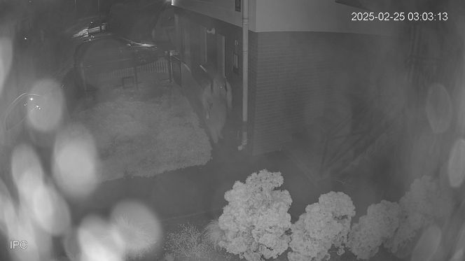 Ktoś rozpylił śmierdzącą substancję na samochód i budynek