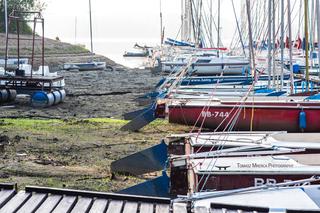 Susza w Jeziorze Żywieckim