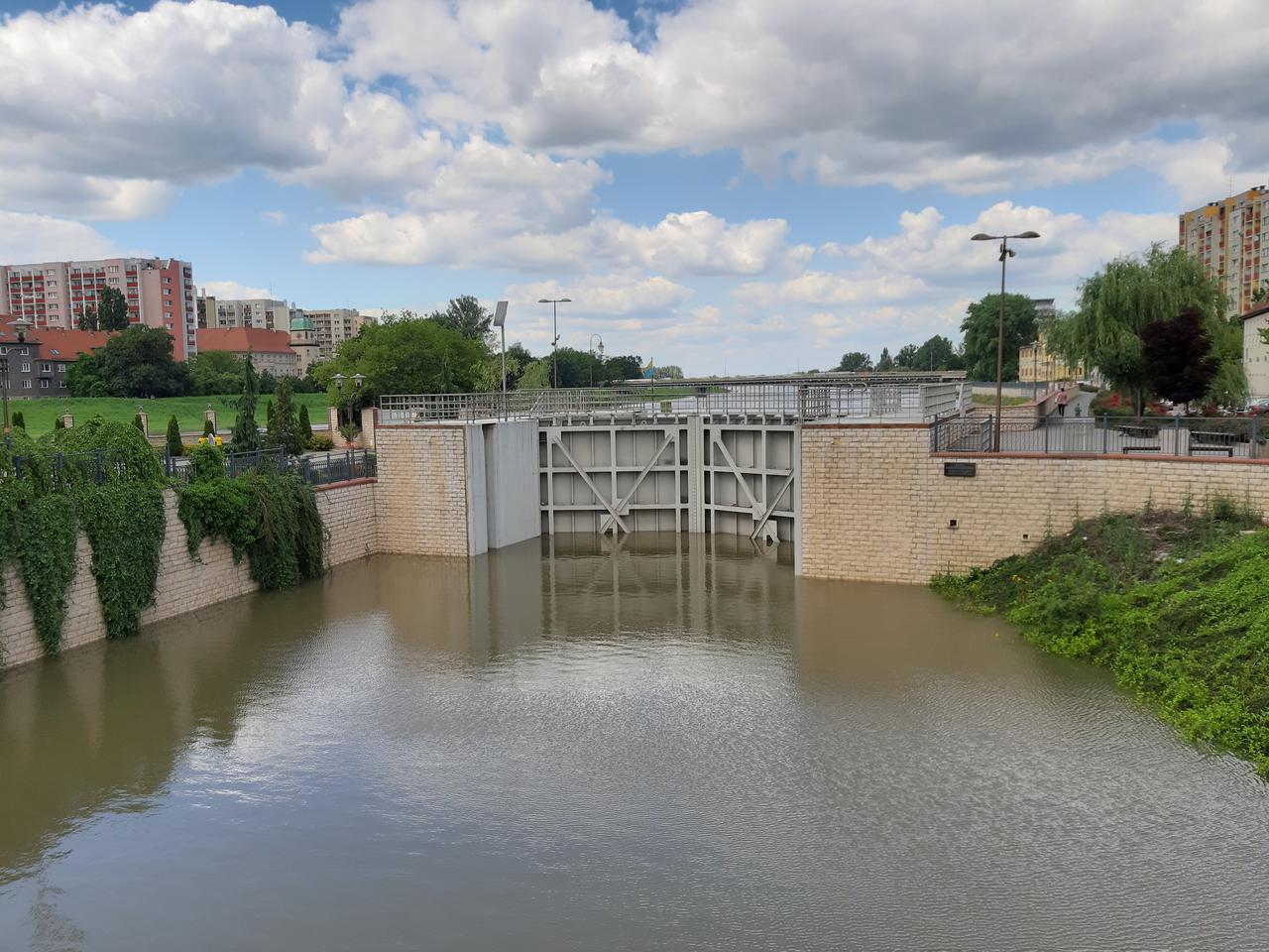 Poziom Odry niebezpiecznie się podniósł. Eksperci uspokajają - powódź nam nie grozi