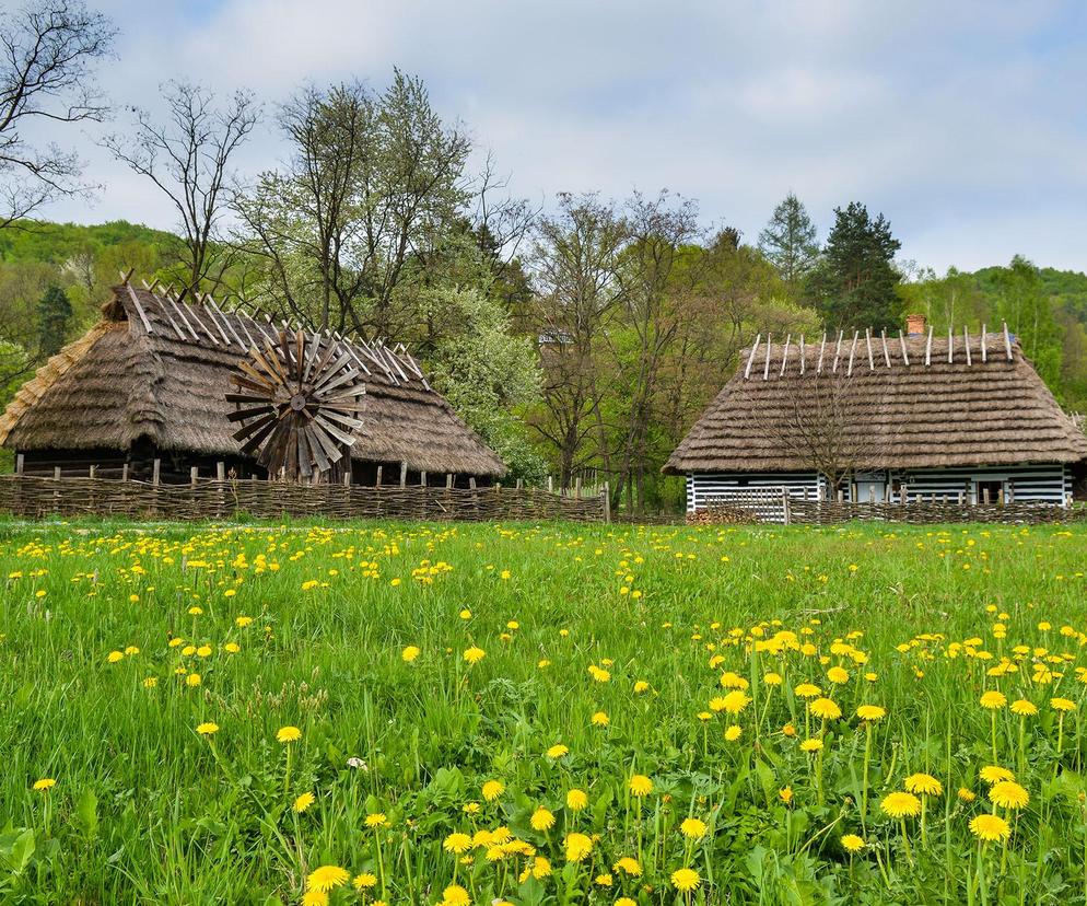 To największy skansen w Polsce. Wyjątkowa atrakcja na mapie Podkarpacia 