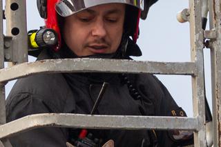 Kot fajtłapa wezwał strażaków.