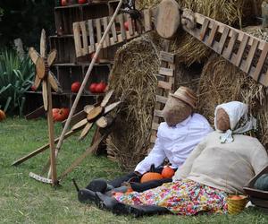 Nowa atrakcja w Lublinie dla dzieci! Farma dyń już działa