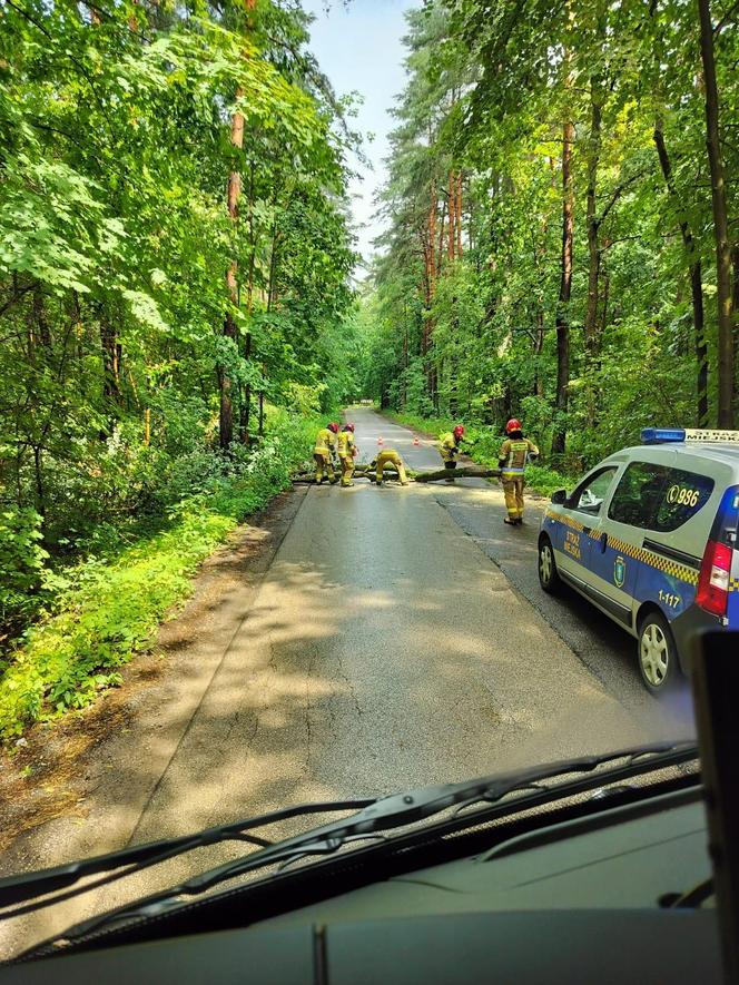 Kolejne groźne nawałnice przeszły nad Warmią i Mazurami. Strażacy interweniowali kilkaset razy [ZDJĘCIA]