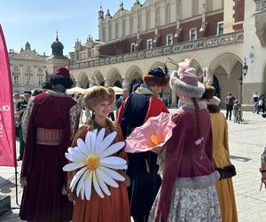 Polonez wiosenny na Rynku Głównym w Krakowie