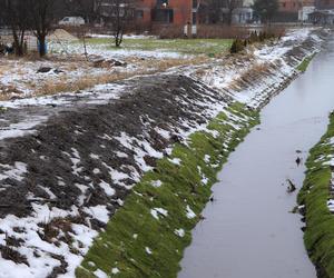 Zdjęcia rzeki Mlecznej. Mieszkańców zaniepokoiły nadsypane brzegi