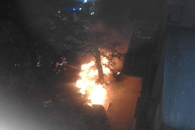 Trzy samochody spłonęły w nocy przy ul. Szamarzewskiego