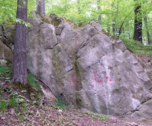 Rezerwat Grapa w Żywcu