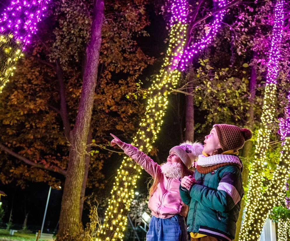 W MikoW Mikołowie można odiwedzac wystawe instalacji świetlnych Garden of Lights! Przedstawiona jest historia Piotrusia Pana