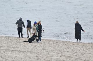 Majówka w Międyzdrojach. Turyści chętnie spacerują po plaży, ale nie jest ich za dużo. Zobacz zdjęcia z kurortu 