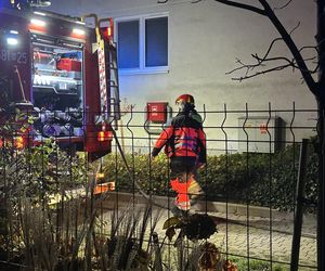 Ratują ludziom życie, teraz stracili wszystko. Małżeństwo ratowników medycznych zbiera na odbudowę po pożarze