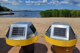 Specjalne boje na jeziorze Dąbie