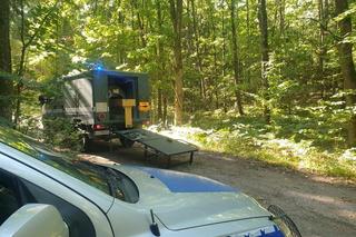 Wybrał się na grzyby do lasu pod Oleckiem. Takiego znaleziska się nie spodziewał [ZDJĘCIA]