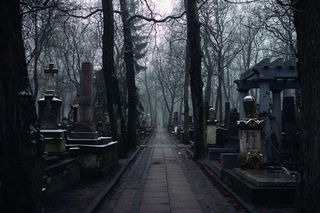 Ile osób umiera poszczególnych województwach Polski?