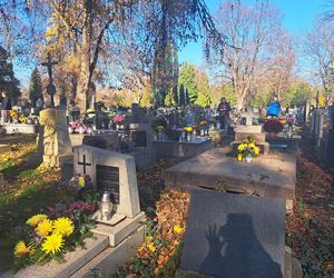 Kwesta na cmentarzu Rakowickim 2025